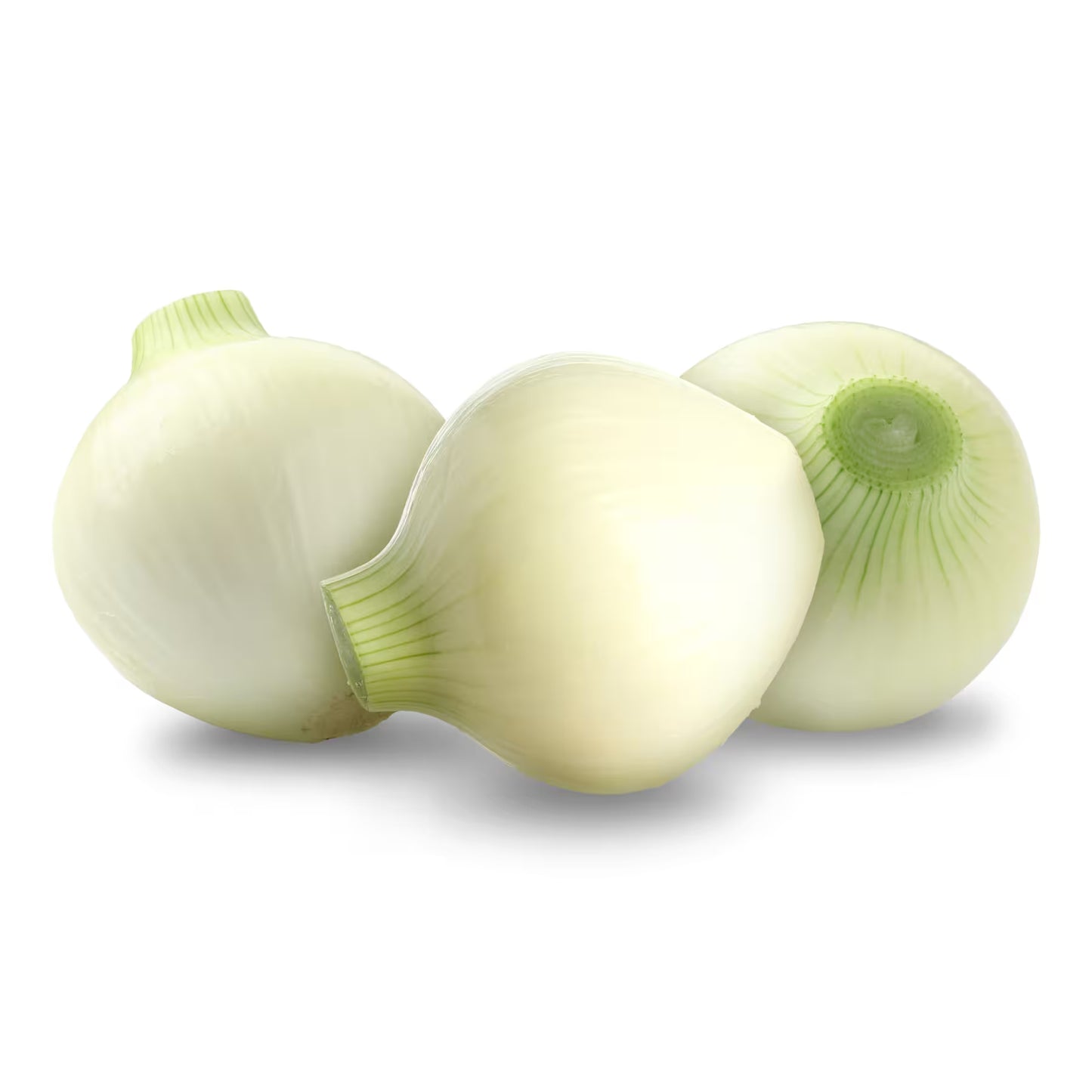 CEBOLLA BLANCA JUMBO / WHITE ONION