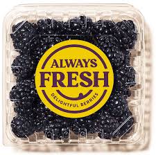 Blackberries Always Fresh 6oz