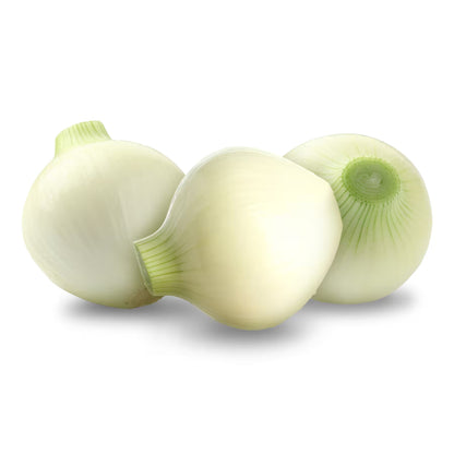CEBOLLA BLANCA JUMBO / WHITE ONION
