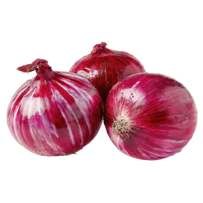 CEBOLLA MORADA / RED ONION