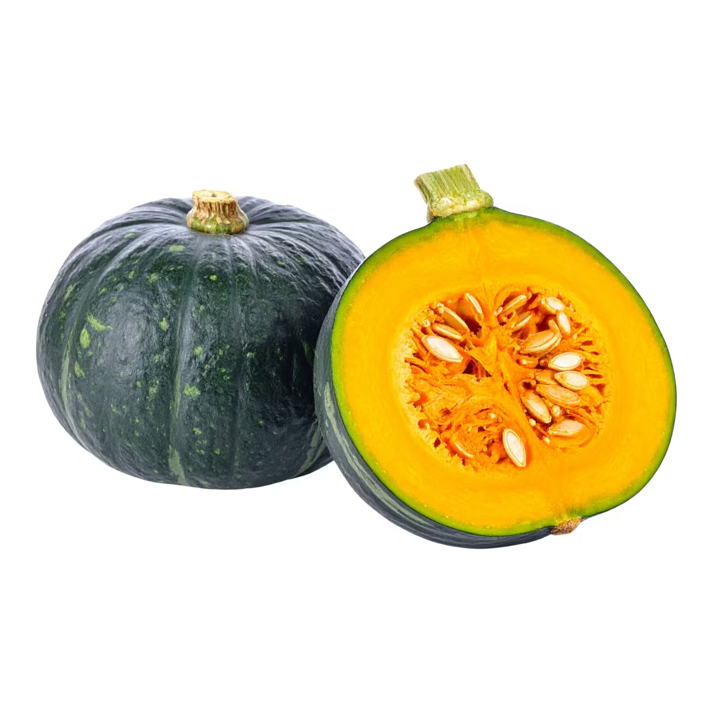 Calabaza Casco Verde / Acorn Squash