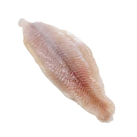 catfish