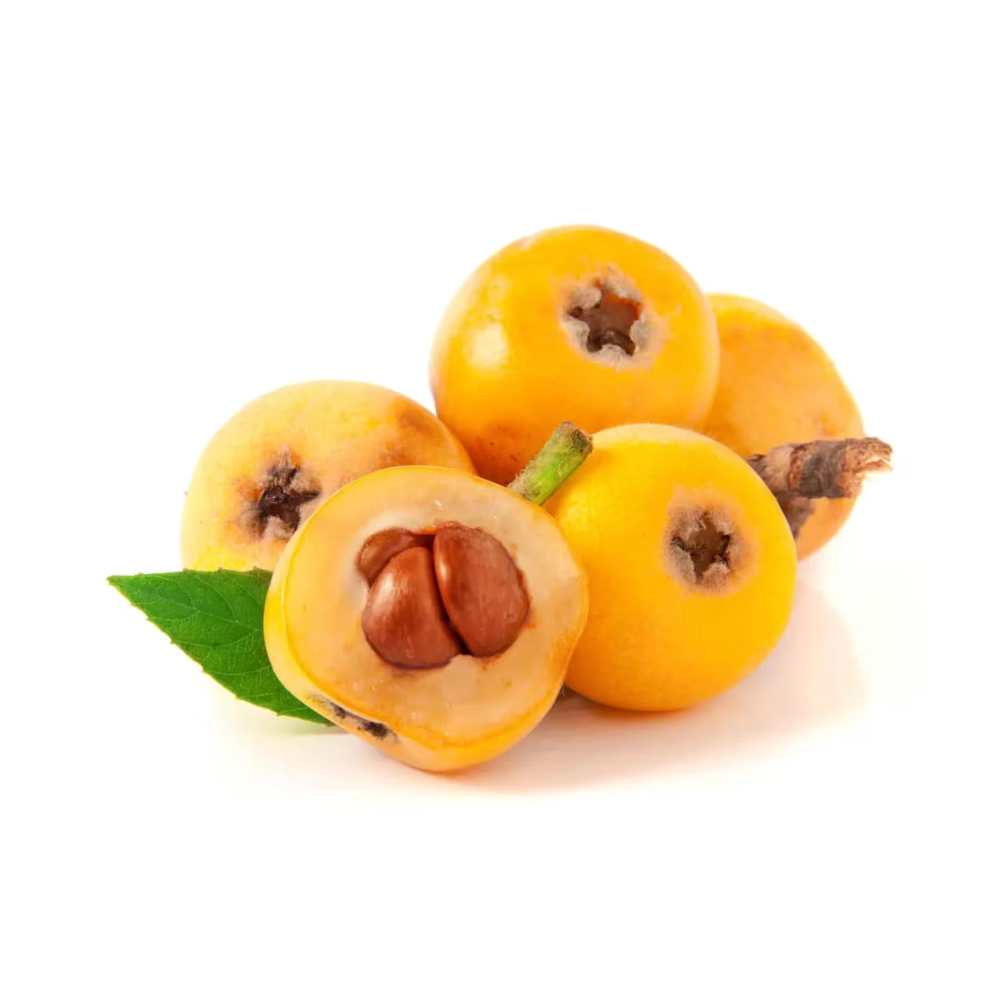 Camotaso Nispero/ Loquat