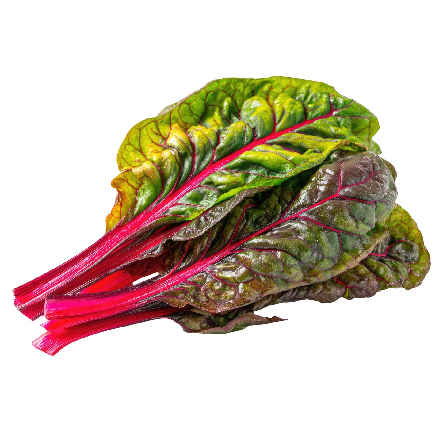 ACELGA FRESCA/FRESH SWISS CHARDS